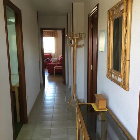 Apartment Roses *
