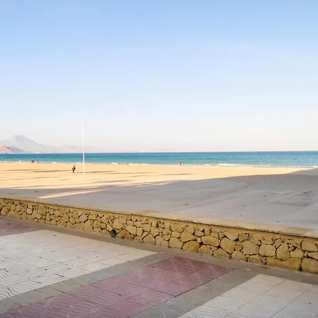Roses El Campello