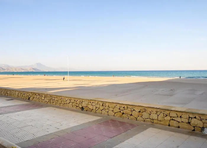 Roses El Campello